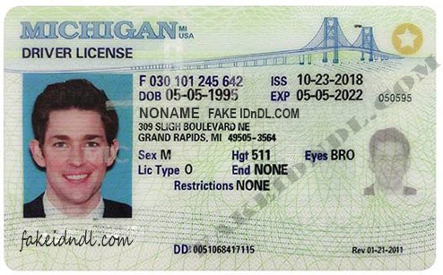 how to make a fake temporary driver s license